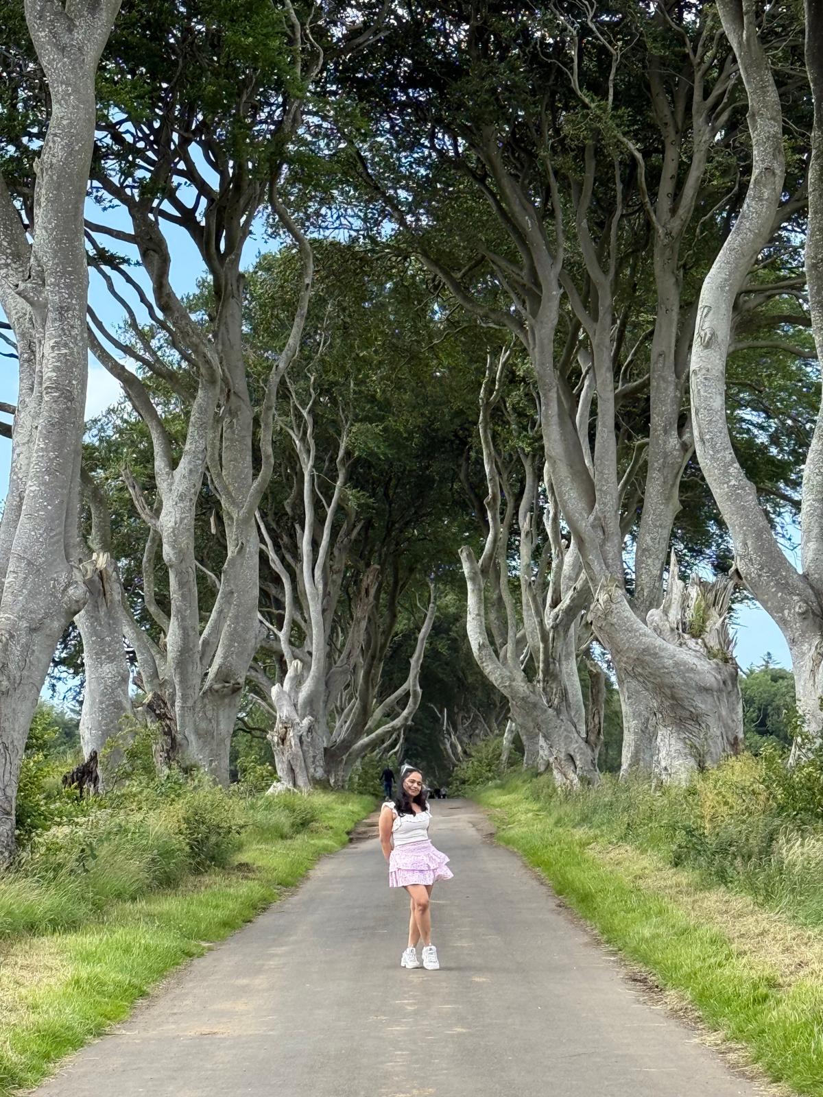 Walking the Dark Hedges in County Antrim